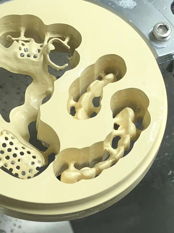 CAD/CAM PEEK シール CAD CAM PEEK パーシャル・デントリー・フレームワーク 3Shape